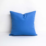 Sunbrella Canvas Carpi Blue Indoor/Outdoor Pillow Cover with Pillow Insert Home Decorative Pillow Cover with Zipper