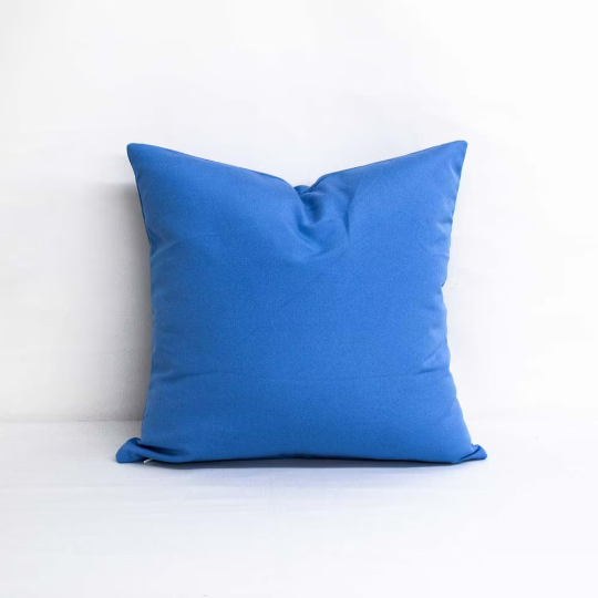 Sunbrella Canvas Carpi Blue Indoor/Outdoor Pillow Cover with Pillow Insert Home Decorative Pillow Cover with Zipper